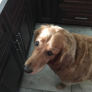 Meet your Posher, Denise